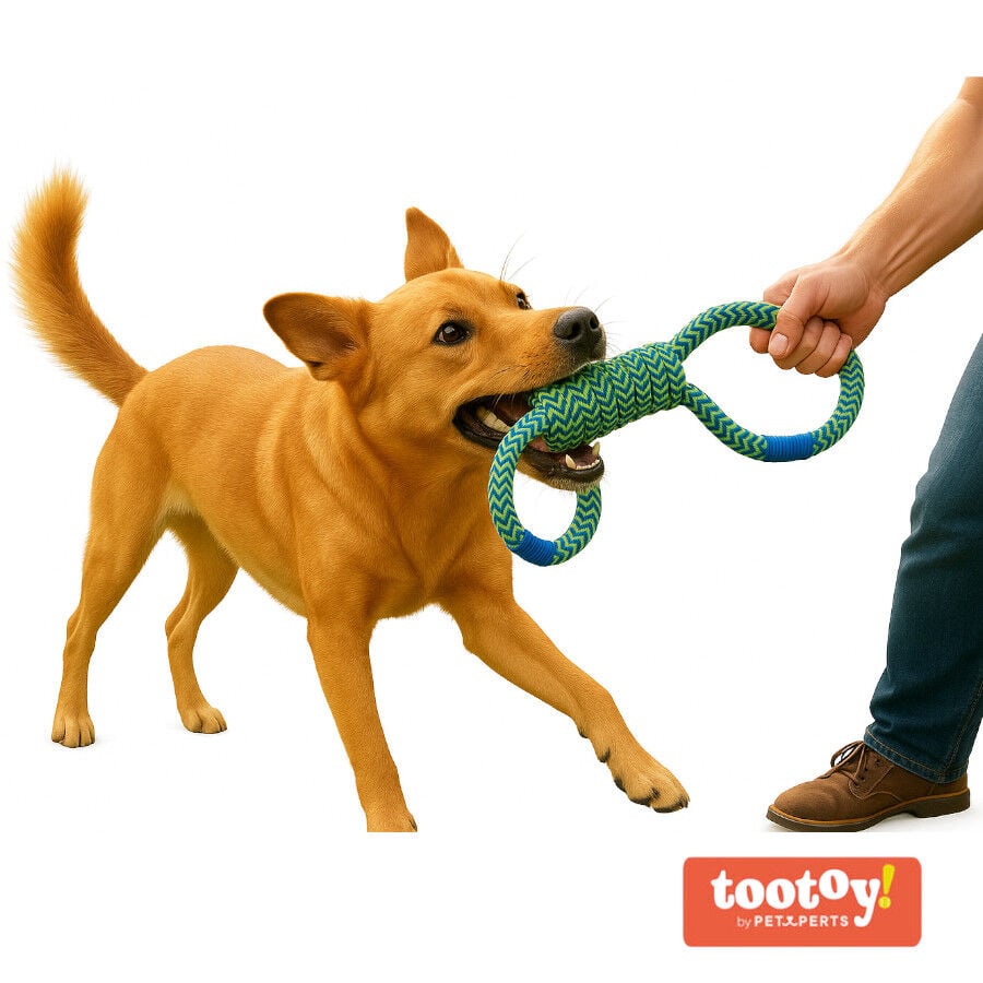 Tootoy! Mordedor de Cuerda Doble para perros, , large Imagen numero 8