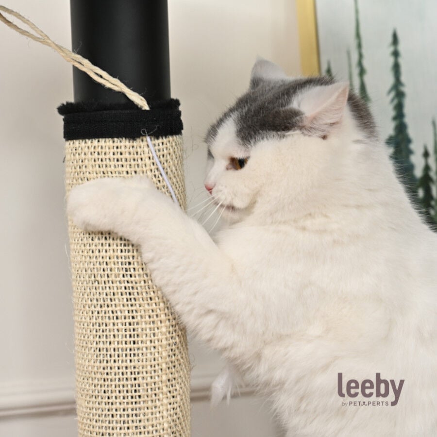 Leeby Tito rascador para pata de mesa con juguete para gatos, , large Imagen numero 2