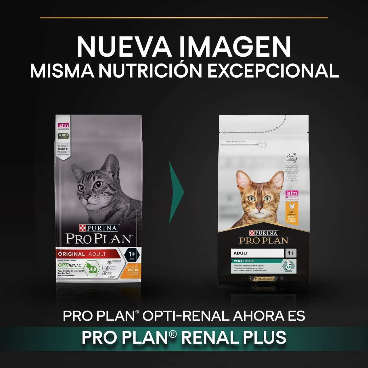 10 kg Pro Plan Adult Renal Plus Pollo Pienso para gatos, , large Imagen numero 2