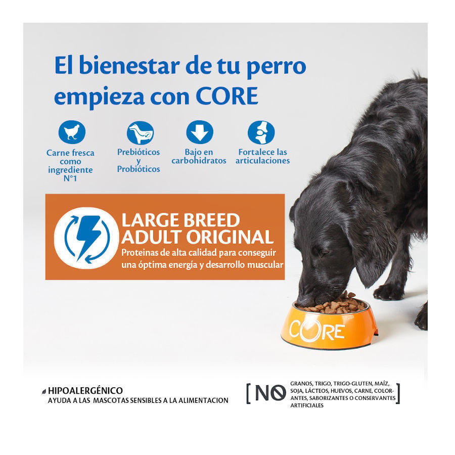 10 kg Wellness Core Adult Large Original Pollo pienso para perros, , large Imagen numero 2