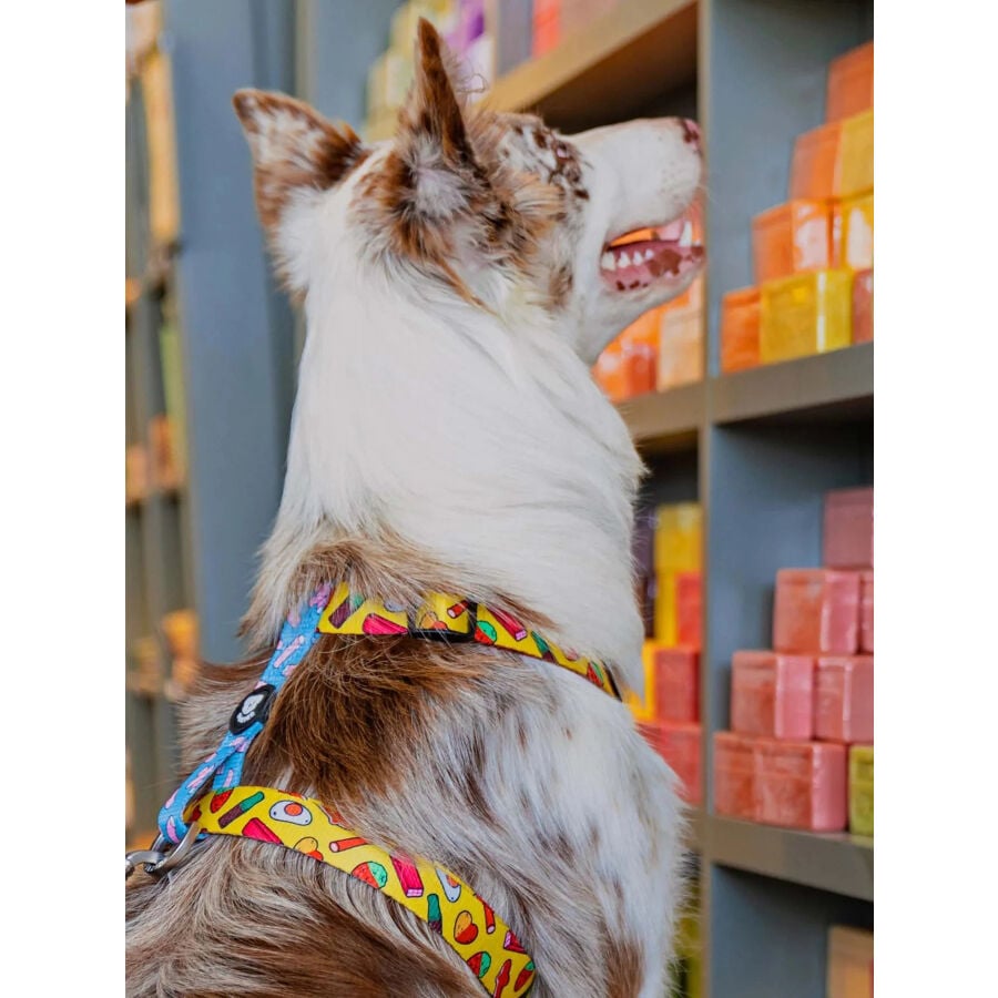 Dukier Sweets Arn&eacute;s Cl&aacute;sico para perros, , large indicador imagen numero 3