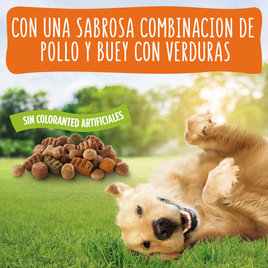 18 kg Friskies Adult Pollo y Verduras pienso para perros, , large Imagen numero 5