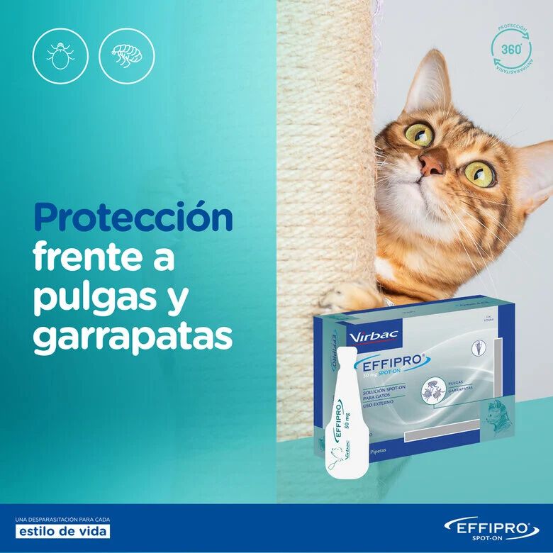Effipro Pipetas Antiparasitarias para gatos, , large Imagen numero 7
