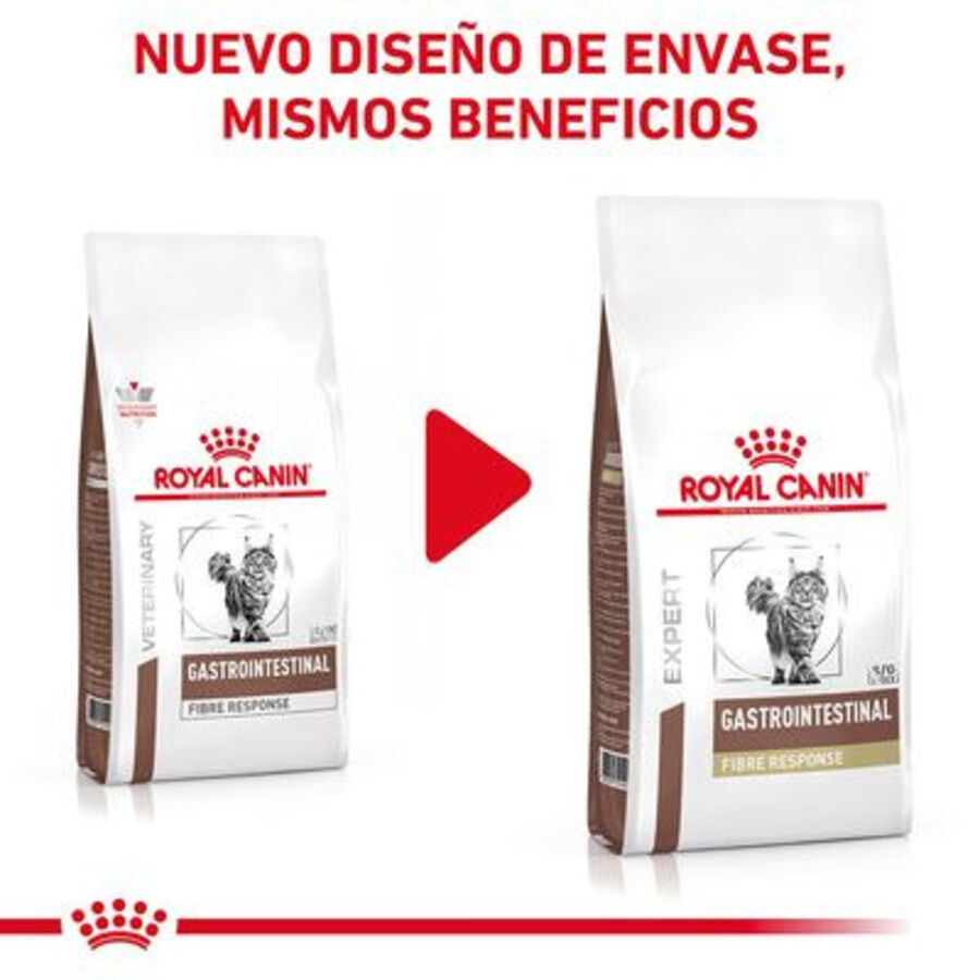 4 kg Royal Canin Veterinary Gastrointestinal Fibre Response pienso para gatos, , large indicador imagen numero 2