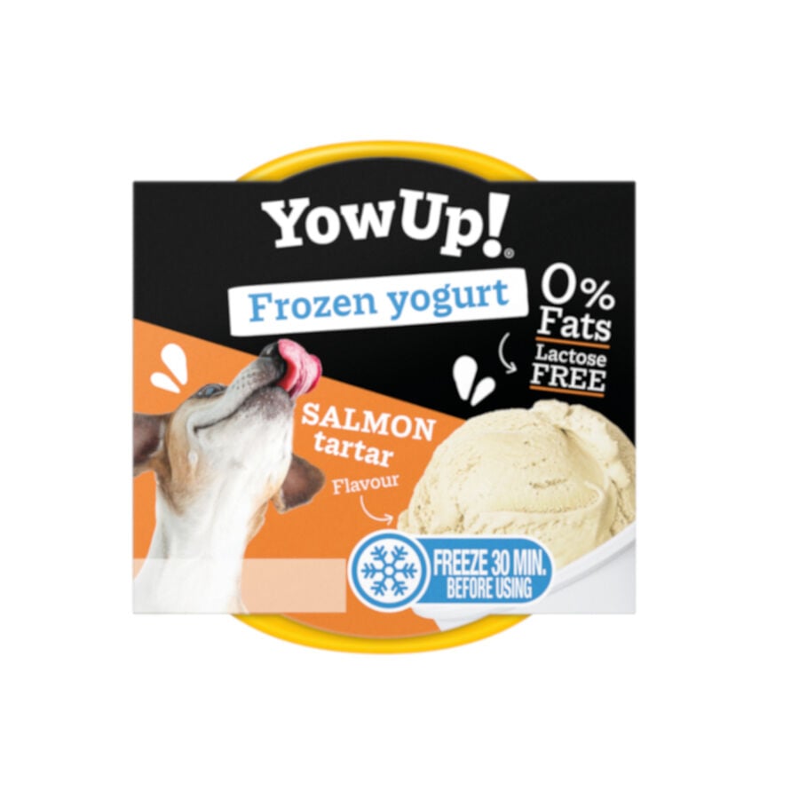 110 g YowUp! Yogur Helado Natural Tartar De Salm&oacute;n Para Perros, , large Imagen numero 1