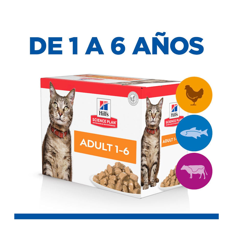 12 sobres x 85 g Hill's Science Plan Adult Pollo, Pescado Azul y Vacuno en Salsa sobre para gatos, , large Imagen numero 2