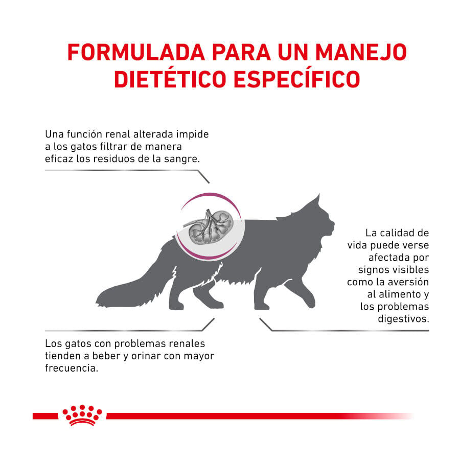 4 kg Royal Canin Veterinary Renal Select pienso para gatos, , large Imagen numero 3
