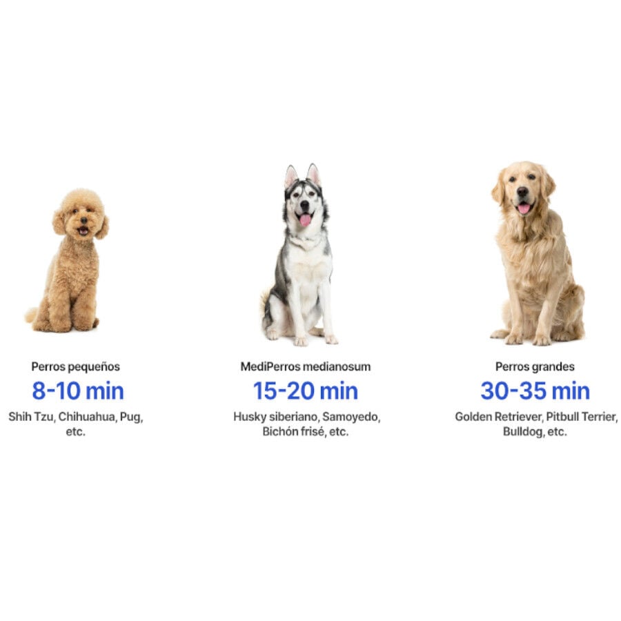 Neakasa F1 Fast Secador de pelo para perros, , large indicador imagen numero 6