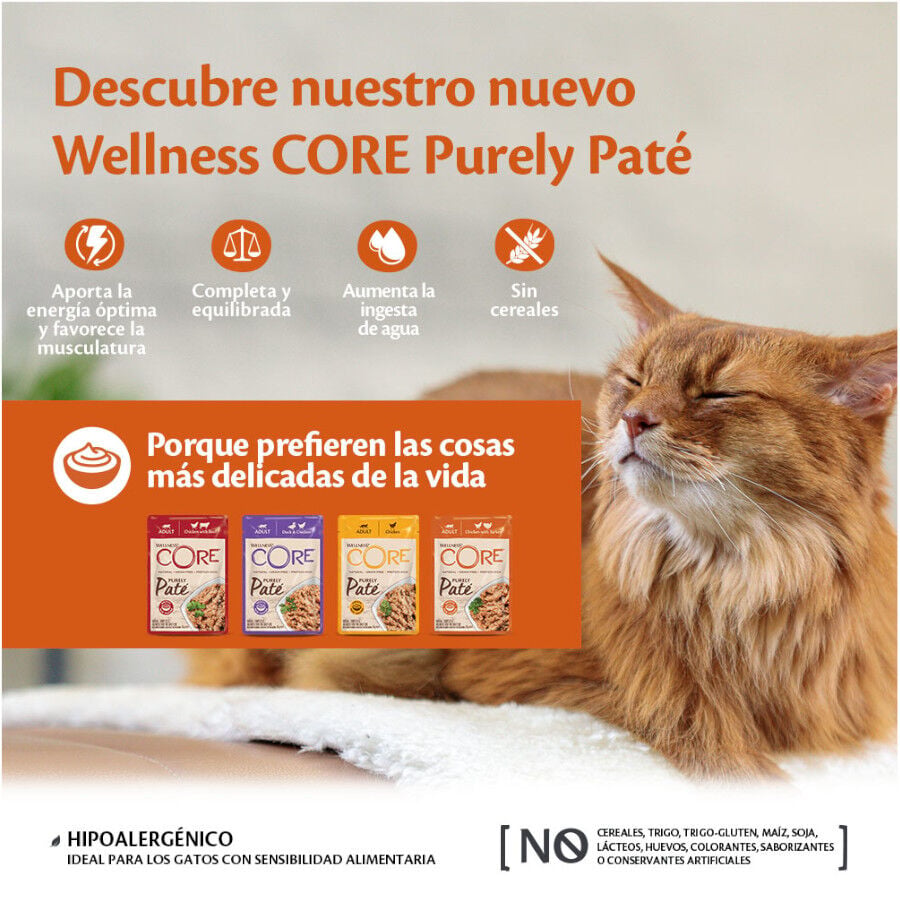 85 g Wellness Core Adult Purely Pollo en Pat&eacute; Sobre para gatos, , large indicador imagen numero 3