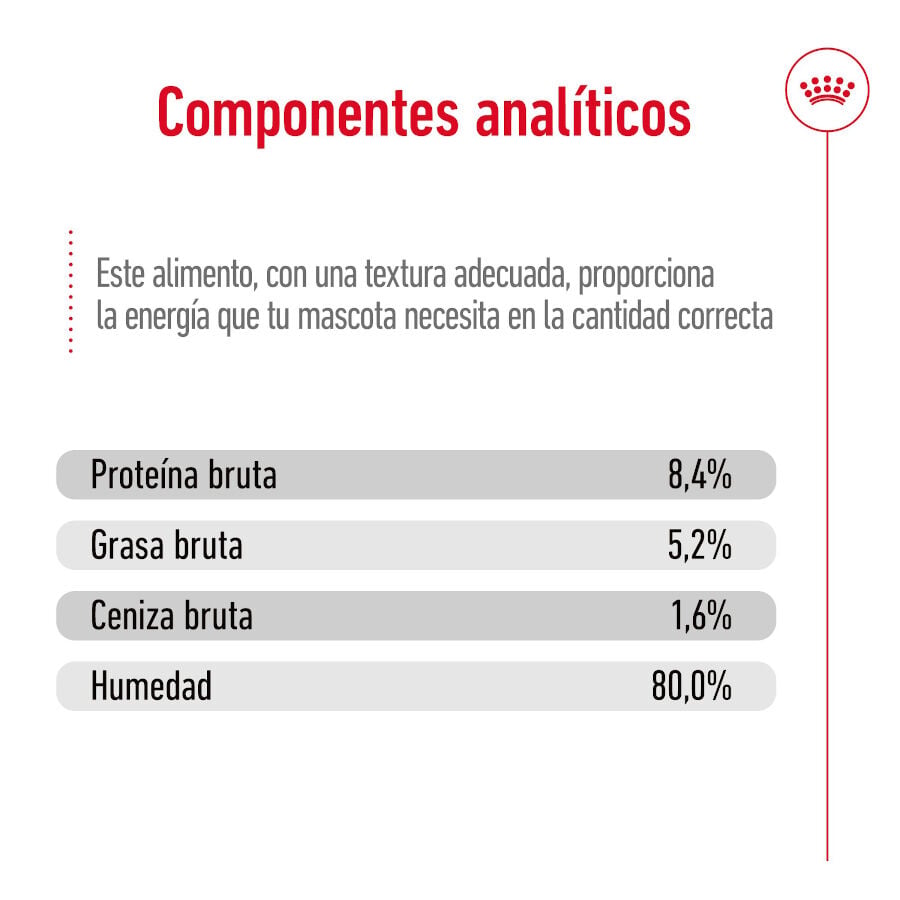 410 g Royal Canin Maxi Ageing 5+ Pat&eacute; lata para perros&nbsp;senior, , large Imagen numero 3