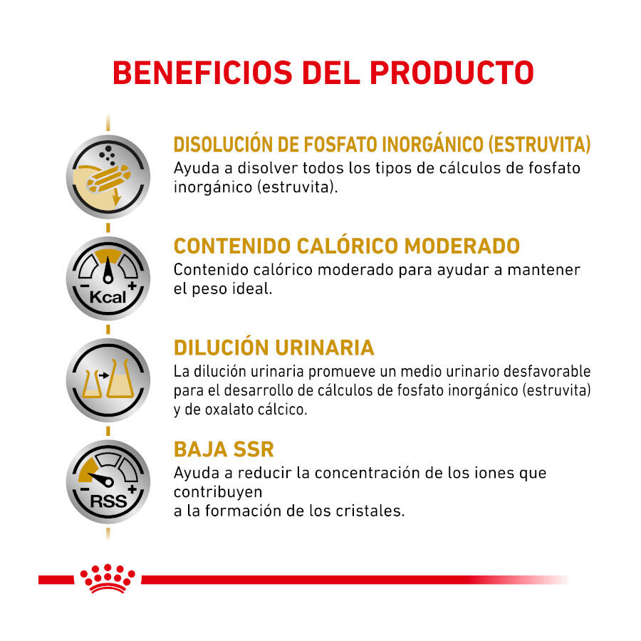 9 kg Royal Canin Veterinary Urinary Moderate Calorie pienso para gatos, , large indicador imagen numero 4