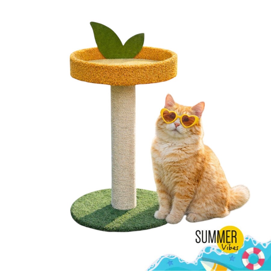 Summer Vibes Poste Rascador Fruta Naranja para gatos, , large Imagen numero 7