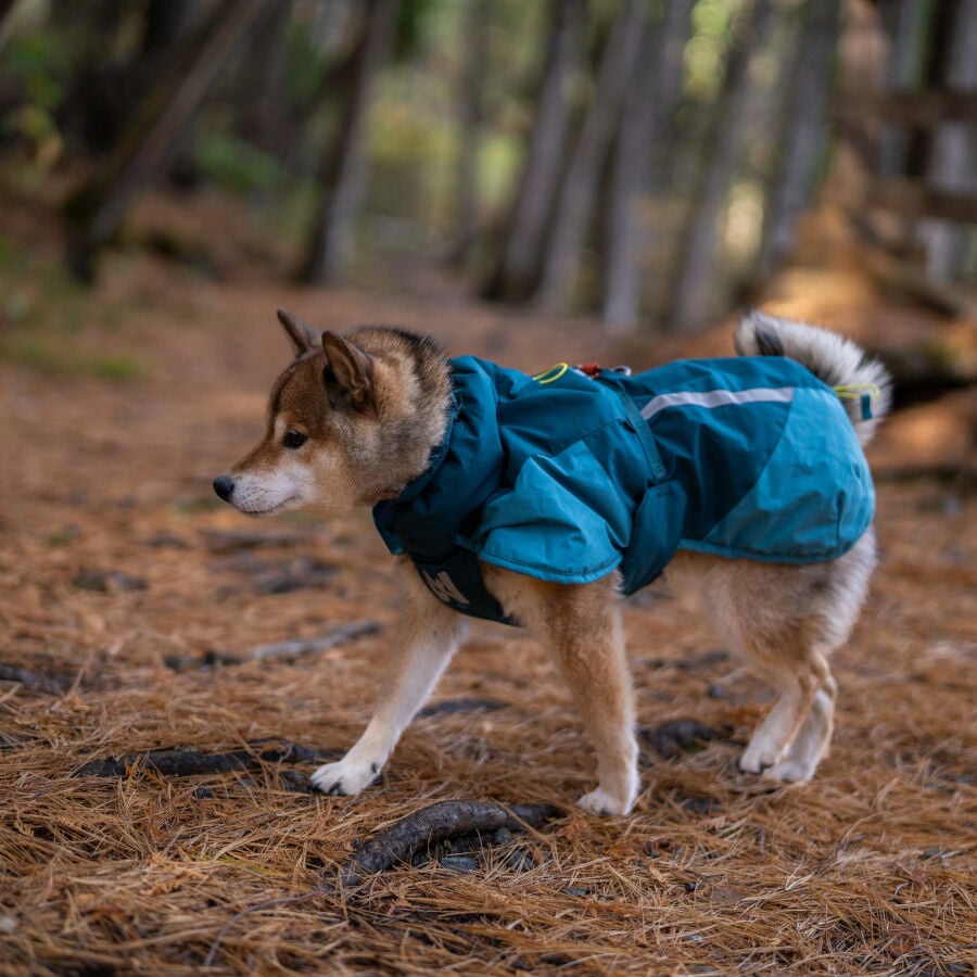 Non-stop Dogwear Chaqueta Azul y Verde para perros, , large indicador imagen numero 3