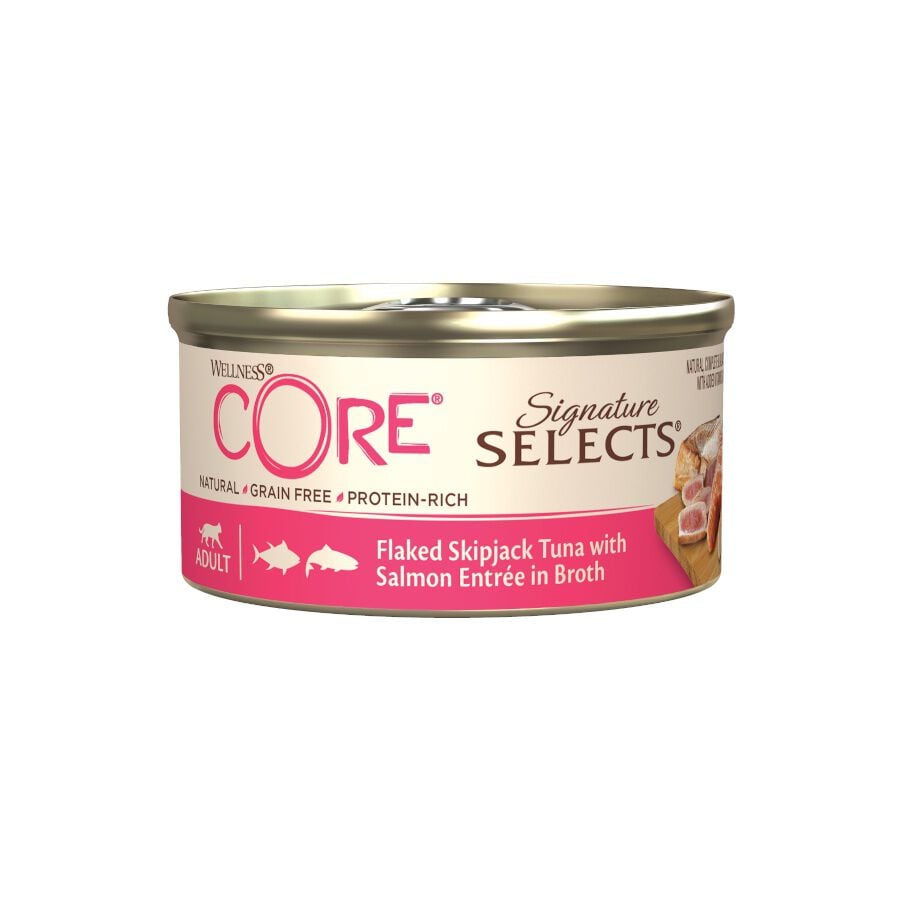 Wellness Core Flaked Salm&oacute;n lata para gatos