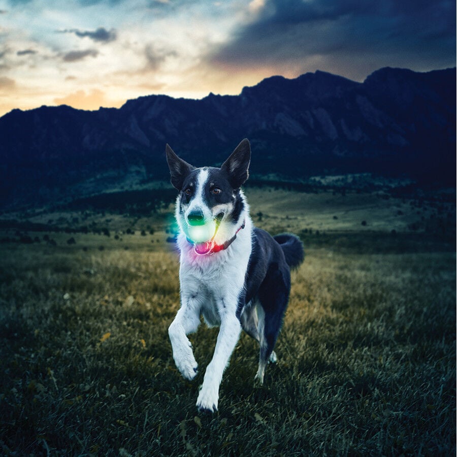 Nite Ize Glowstreak Disc-O LED Pelota para perros, , large Imagen numero 6