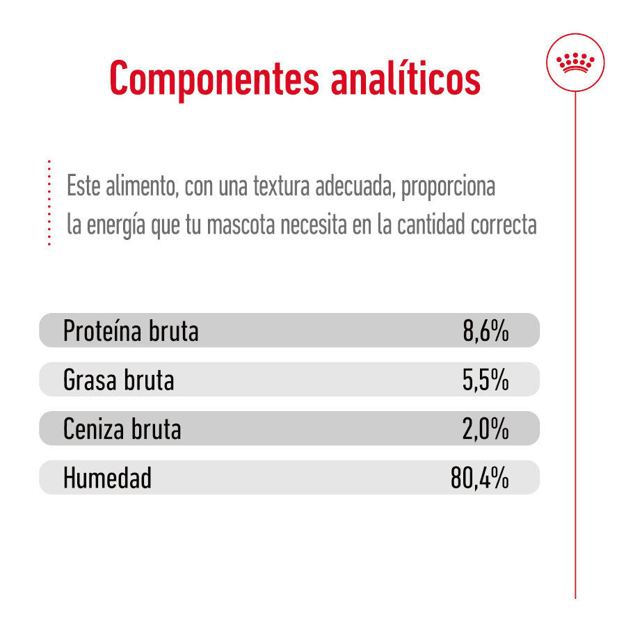 195 g Royal Canin Mini Adult Pat&eacute; lata para perros, , large indicador imagen numero 6