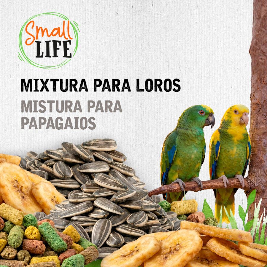 2.8 kg Small Life Mixtura Cubos para loros, , large indicador imagen numero 3