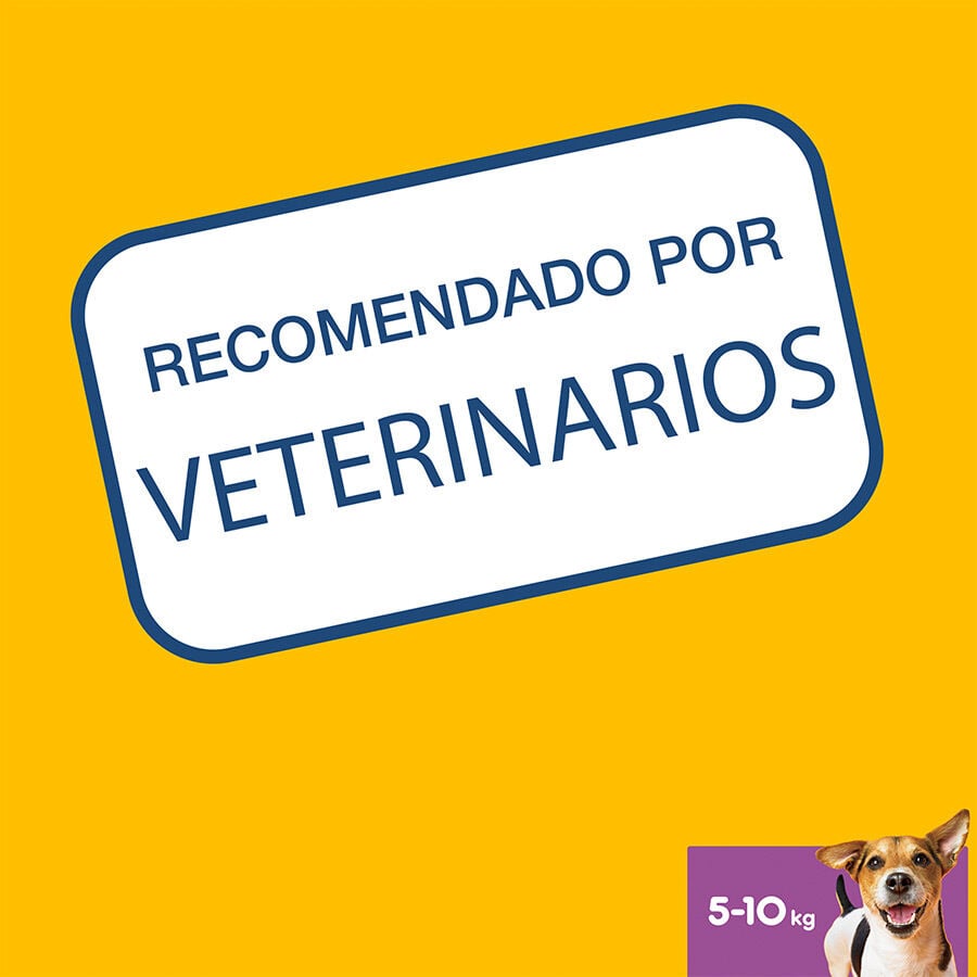105 barritas Pedigree Dentastix Snacks Dentales para perros peque&ntilde;os, , large indicador imagen numero 8
