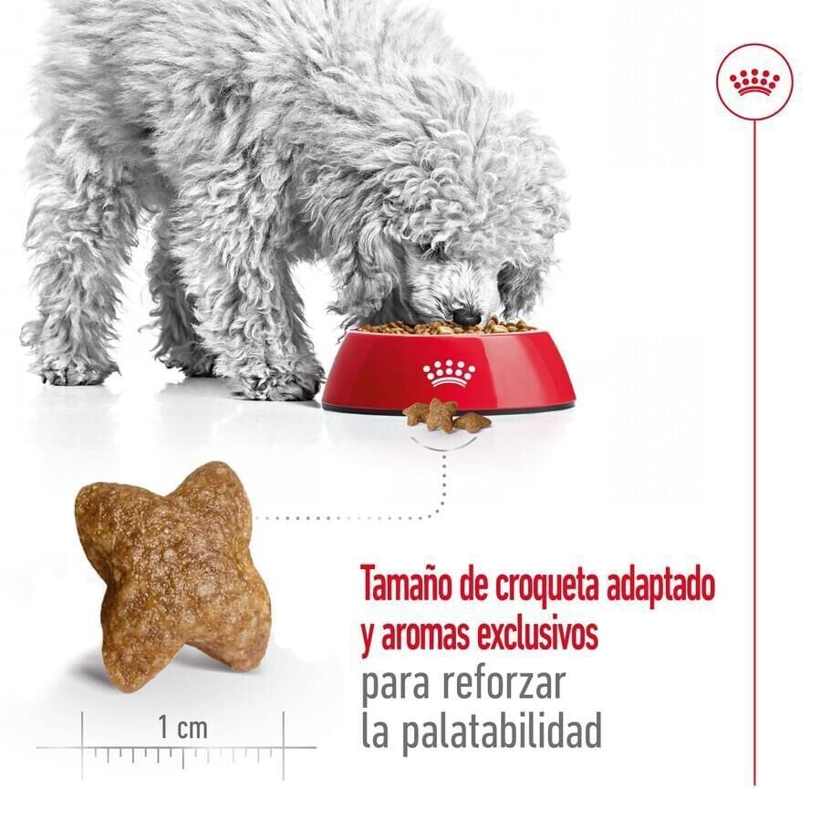 9 kg (8 + 1 kg gr&aacute;tis!) Royal Canin Mini Adult pienso para perros, , large indicador imagen numero 7