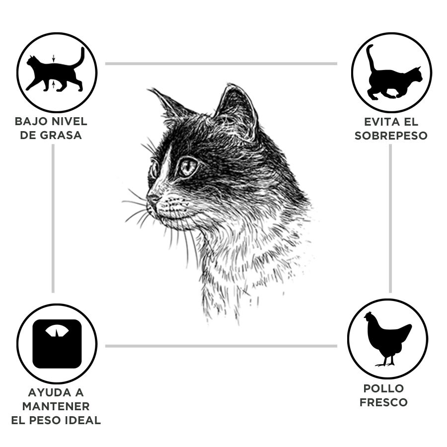 12 kg Criadores Adulto Esterilizado Pollo pienso para gatos, , large Imagen numero 2