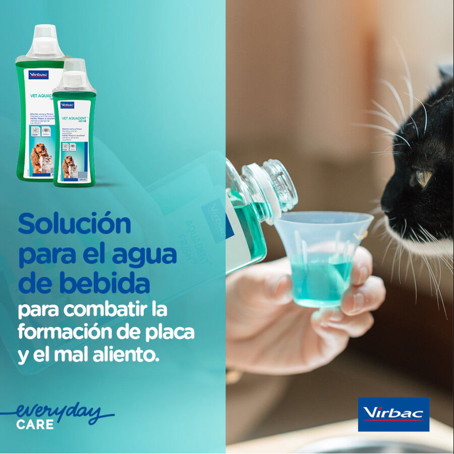 Virbac Vet Aquadent Enjuague Bucal para perros y gatos, , large Imagen numero 4