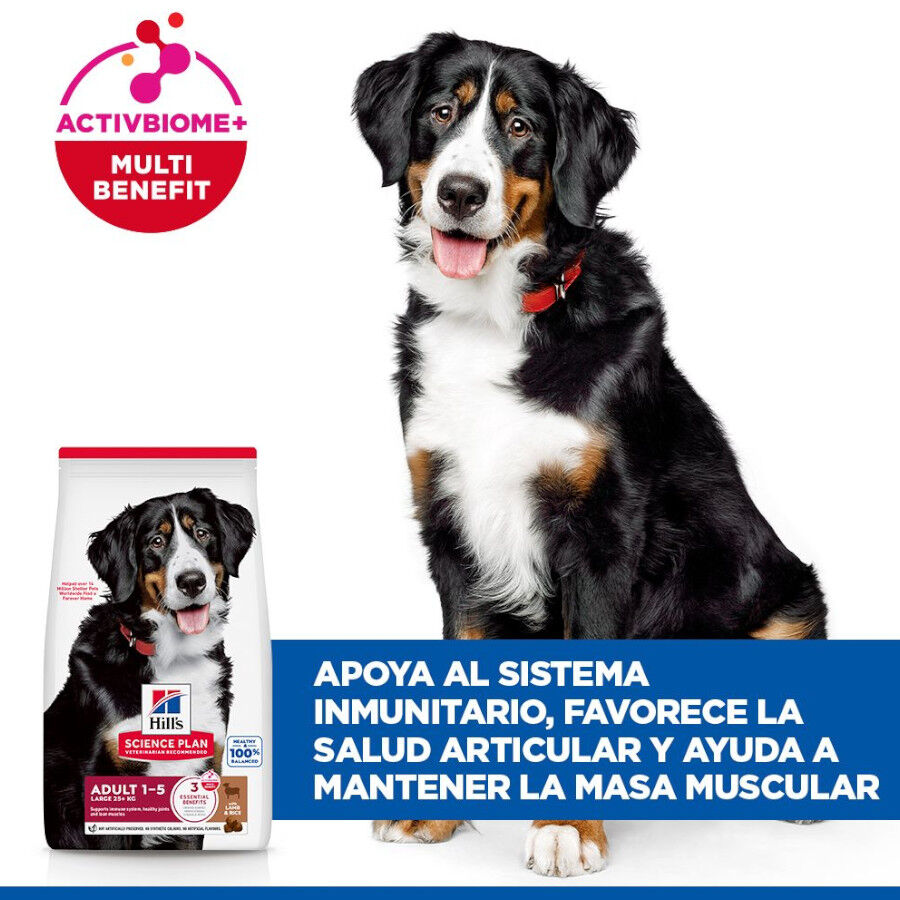 14 kg Hill's Science Plan Adult Large Cordero pienso para perros, , large Imagen numero 4