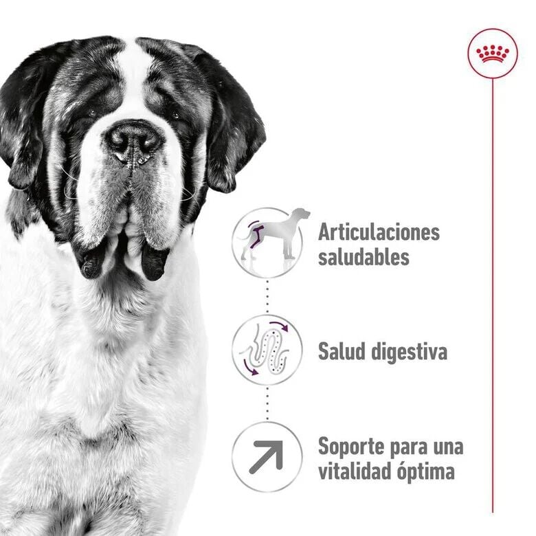 15 kg Royal Canin Giant Adult pienso para perros, , large indicador imagen numero 5