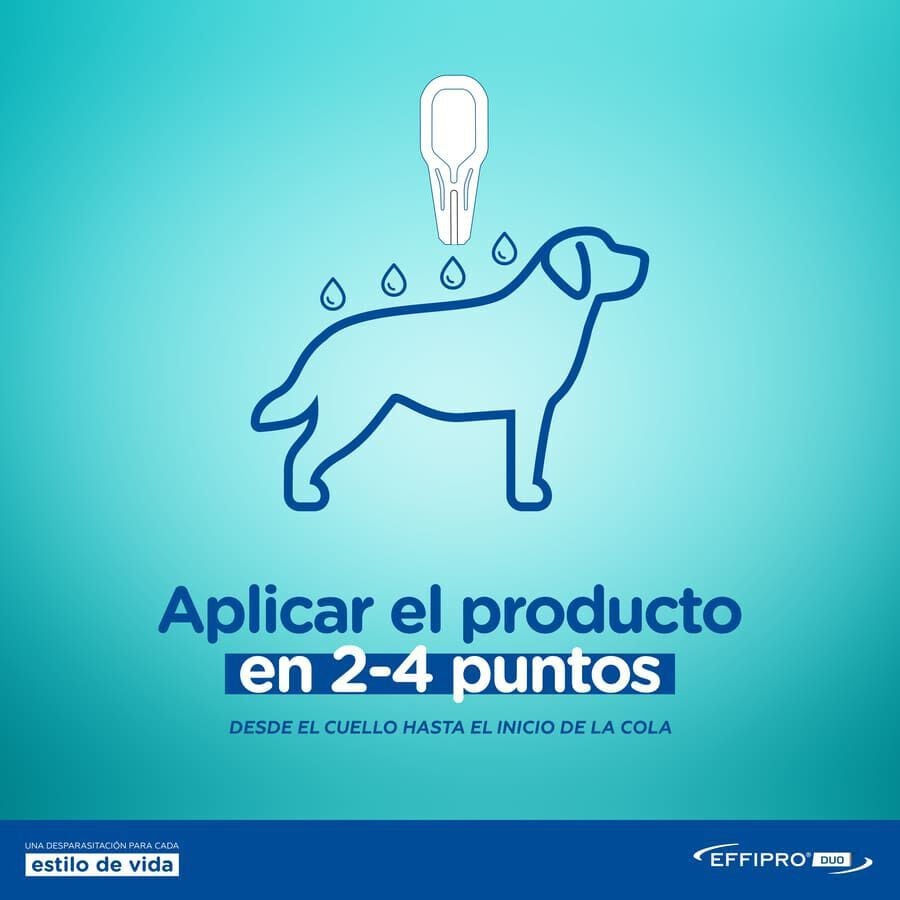 Effipro Duo pipetas antipar&aacute;sitos para perros, , large indicador imagen numero 5