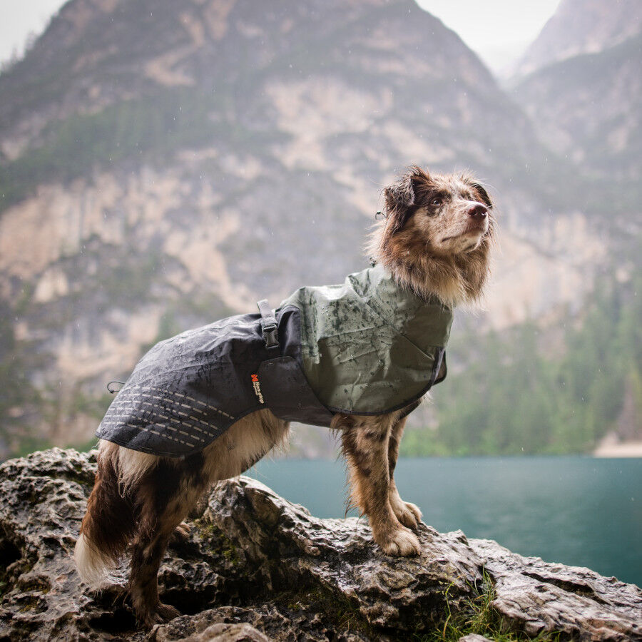Non-stop dogwear Fjord Chubasquero Impermeable Negro y Verde para perros, , large indicador imagen numero 2