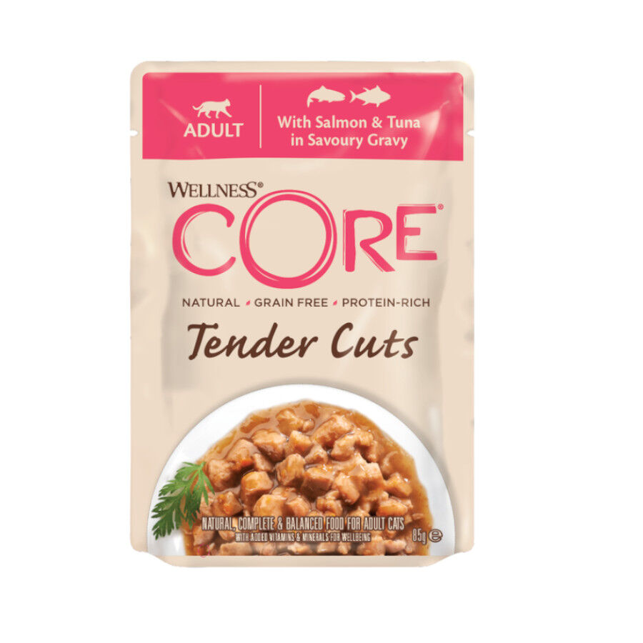 Wellness Core Tender Cuts salm&oacute;n y at&uacute;n sobre en salsa para gatos