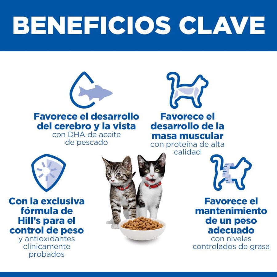 3 kg Hill's Science Plan Sterilised Kitten Pollo pienso para gatos, , large Imagen numero 5