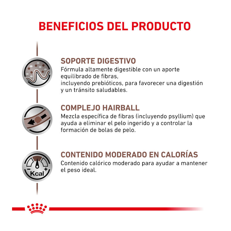 2 kg Royal Canin Veterinary Gastrointestinal Hairball pienso para gatos, , large indicador imagen numero 4