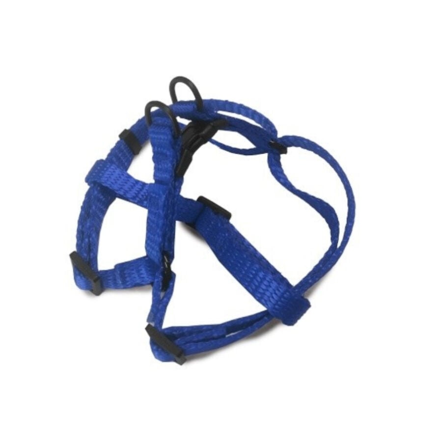 Outech Arn&eacute;s azul para perros