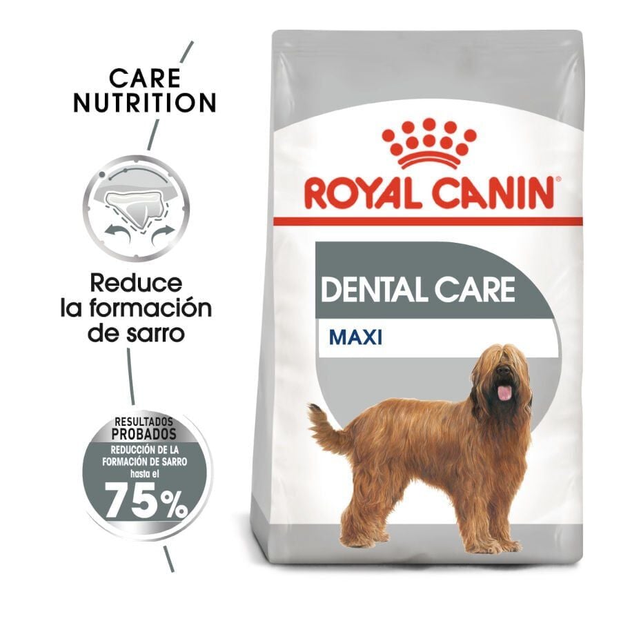 9 kg Royal Canin Dental Care Maxi pienso para perros, , large indicador imagen numero 2