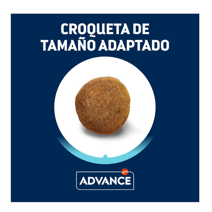 12 kg Advance Active Defense Pastor Alem&aacute;n Adult pienso para perros, , large Imagen numero 3