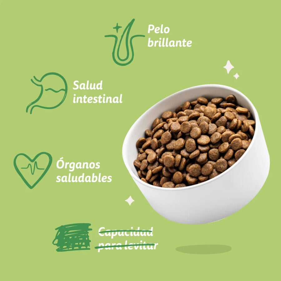 3 kg Edgard & Cooper Pienso Cordero para perros adultos mini, , large indicador imagen numero 5