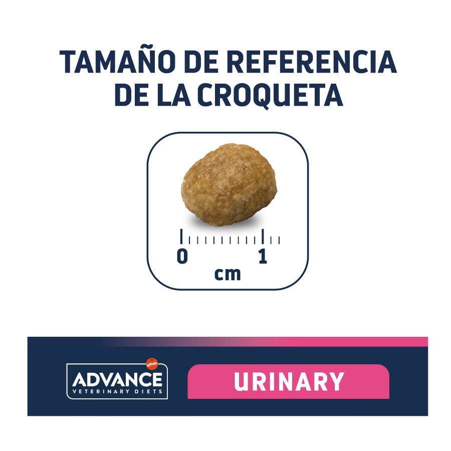 12 kg Advance Veterinary Diets Urinary pienso para perros, , large indicador imagen numero 4