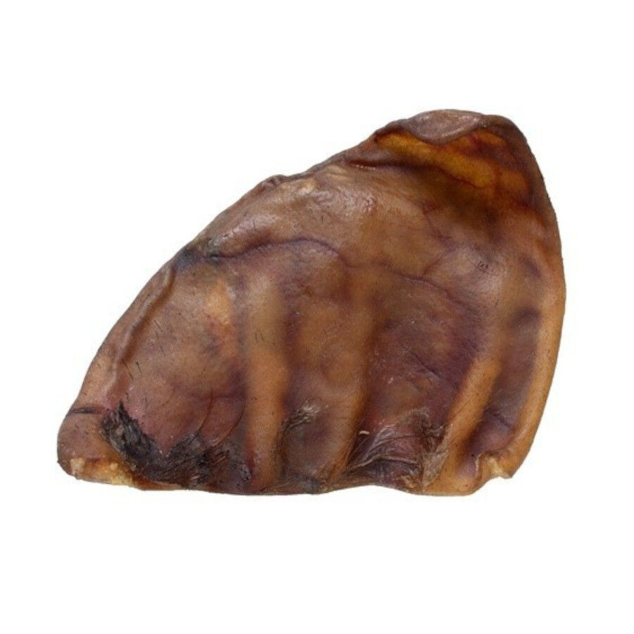 10 uds. Criadores Orejas de Cerdo Deshidratadas snack natural para perros, , large indicador imagen numero 1