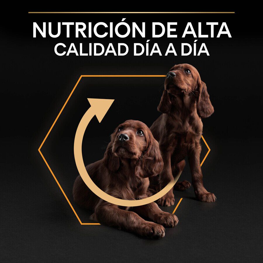 3 kg Pro Plan Adult Small y Mini Pollo pienso para perros, , large Imagen numero 8