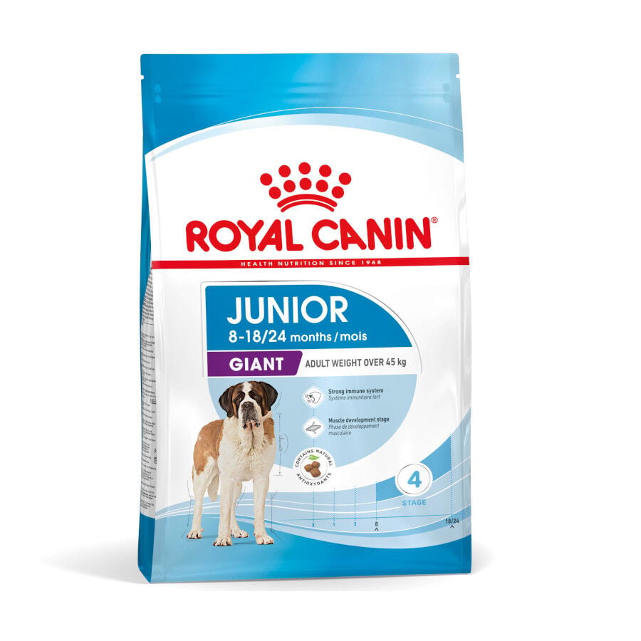 15 kg Royal Canin Junior Giant pienso para perros, , large Imagen numero 1