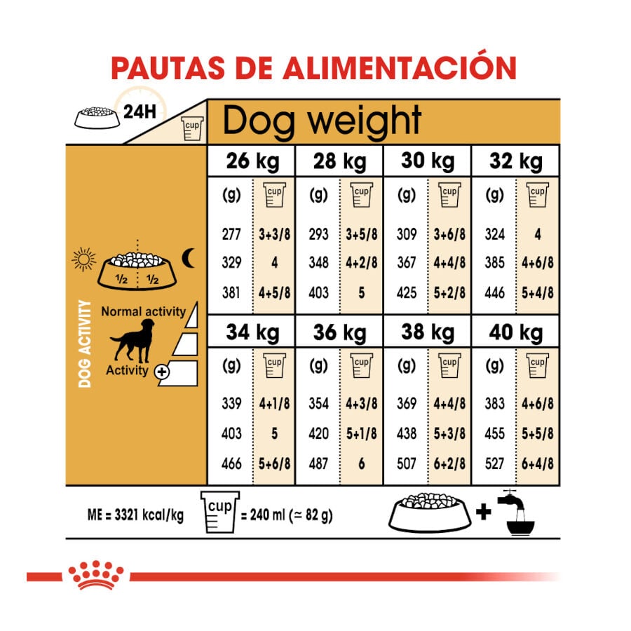 12 kg Royal Canin Adult Labrador Sterilised pienso para perros , , large Imagen numero 8