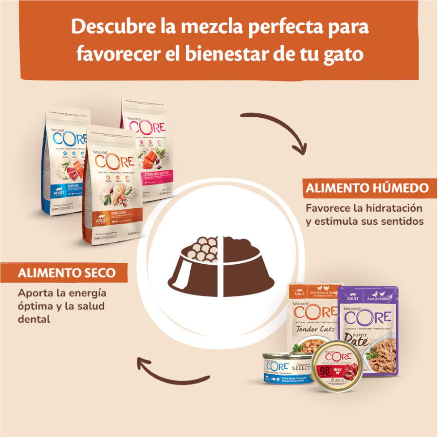 85 g Wellness Core Adult Pollo y Pavo en Pat&eacute; sobre para gatos, , large indicador imagen numero 6