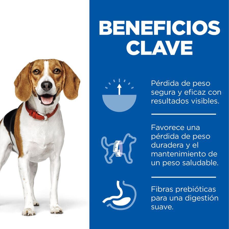 12 kg Hill's Science Plan Perfect Weight Adult Medium Pollo pienso para perros, , large indicador imagen numero 3
