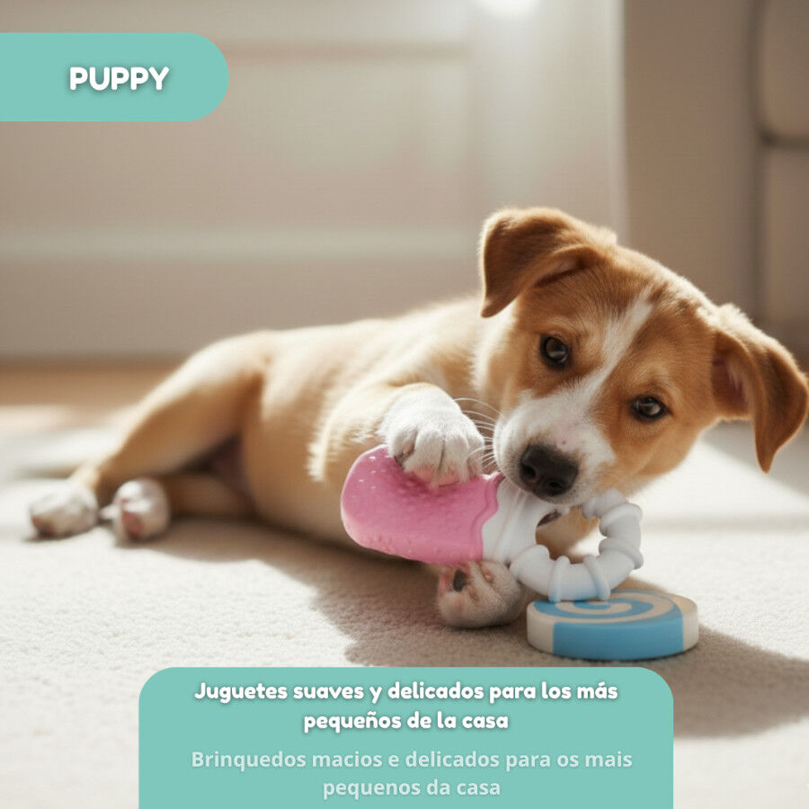 Tootoy! Pack de Mordedores Frios para cachorros, , large Imagen numero 7
