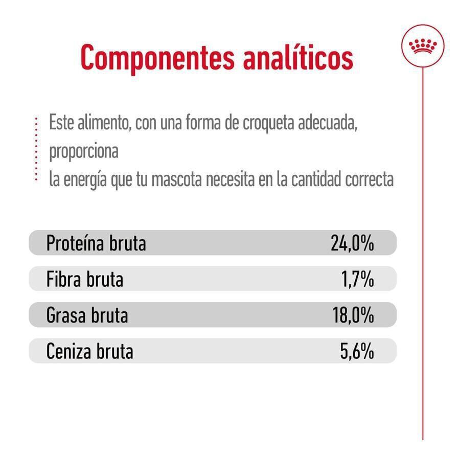 3 kg Royal Canin X-Small Adult pienso para perros, , large indicador imagen numero 8