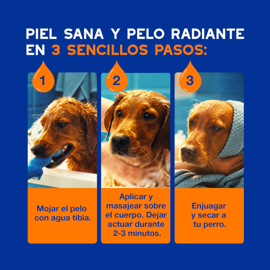 Ceva Douxo Spa Champ&uacute; 2 en 1 Desenredante para perros, , large indicador imagen numero 4