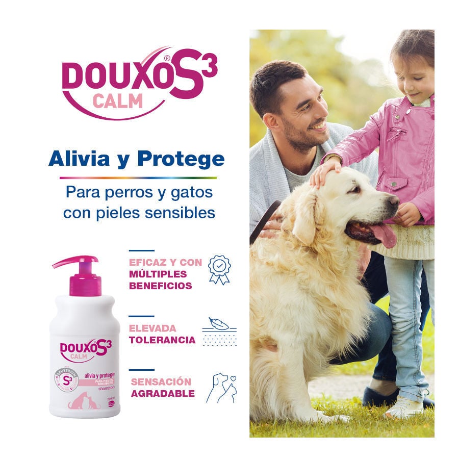 Douxo S3 Calm Champ&uacute; para perros y gatos, , large Imagen numero 2