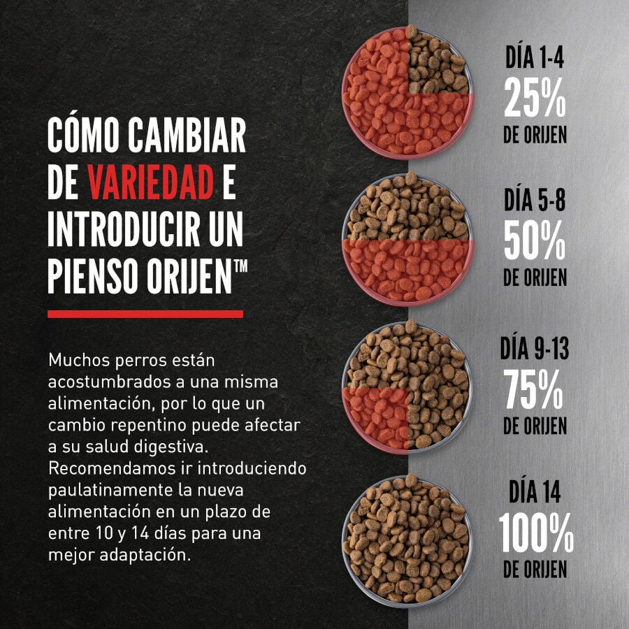 Orijen Tundra Pienso Seco Cordero y Ciervo para perros, , large Imagen numero 6