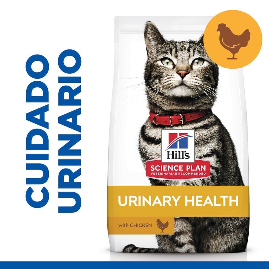 1.5 kg Hill's Urinary Pollo pienso para gatos, , large indicador imagen numero 2
