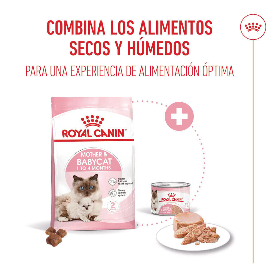 195 g Royal Canin Mother & Baby mousse latas para gatos, , large Imagen numero 7